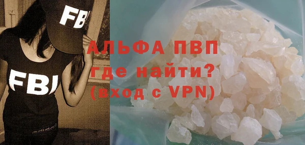 СК Ступино