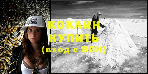 ешки Тавда