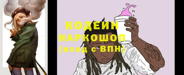 СК Ступино