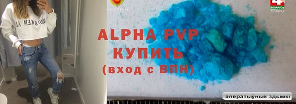 молекула духа Тайга