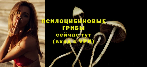 ешки Тавда