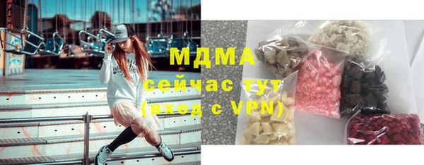 молекула духа Тайга