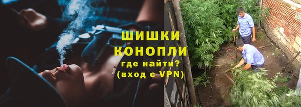 ешки Тавда